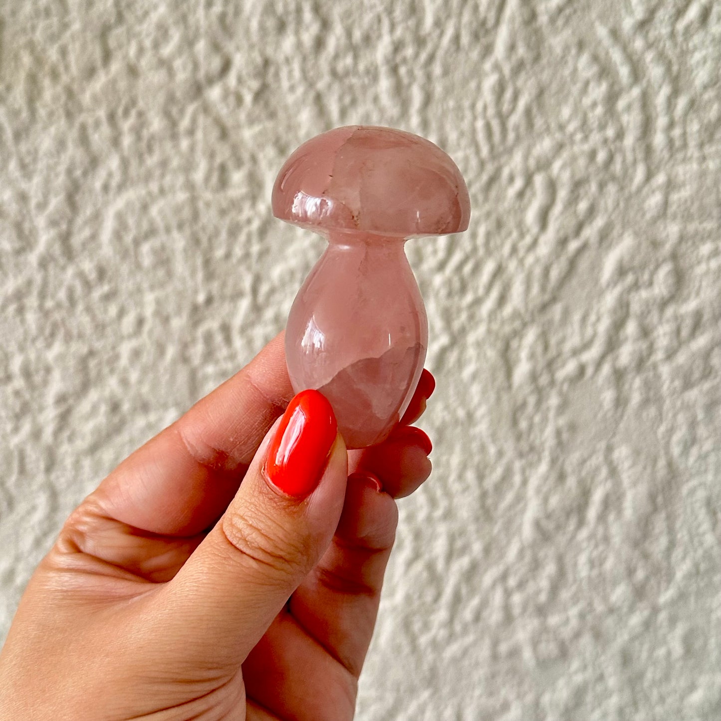 Rozenkwarts paddestoel 1348