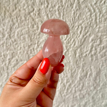 Rozenkwarts paddestoel 1348