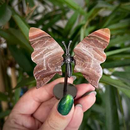 Kleine vlinder op standaard