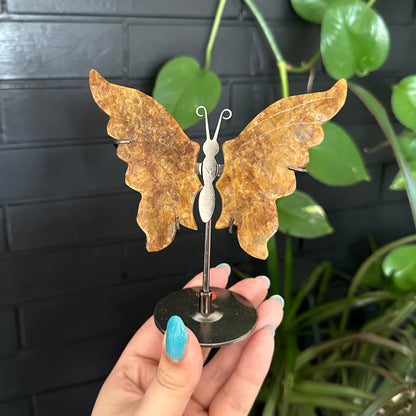 Golden healer vlinders op standaard