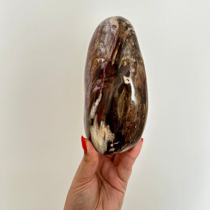 Versteend hout sculptuur 1376
