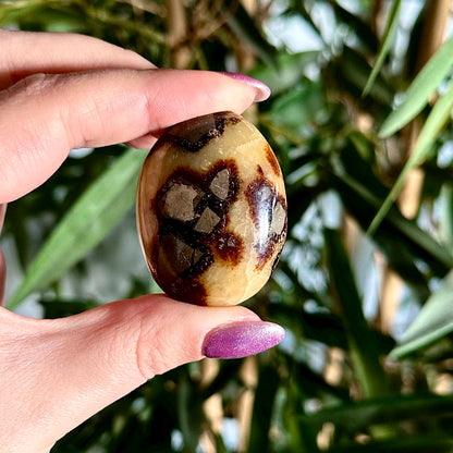 Septarie handsteen #394