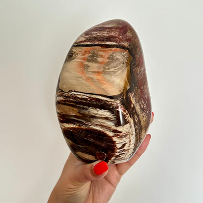 Versteend hout sculptuur 1472