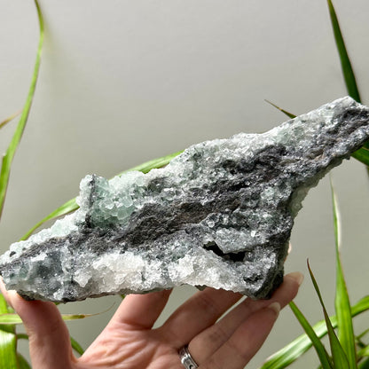 Sugar fluoriet special!