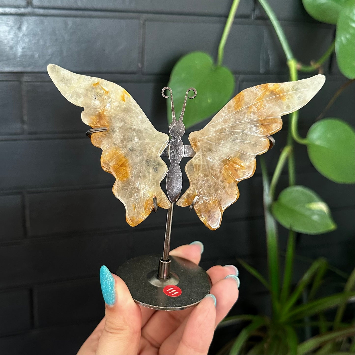 Golden healer vlinders op standaard