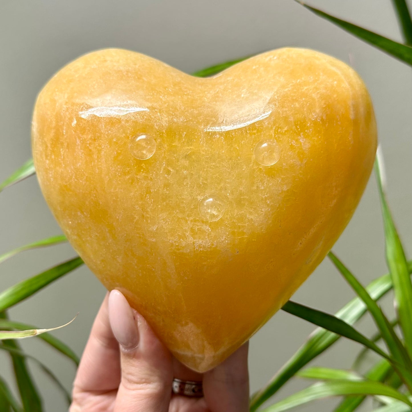 Oranje calciet schaal hart