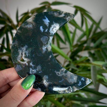 Mosagaat manen op standaard