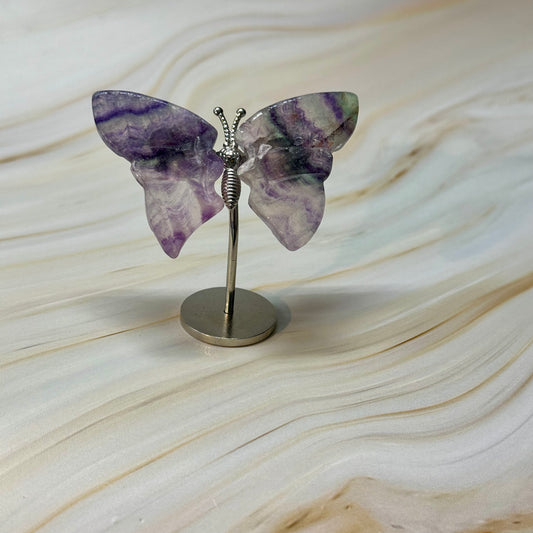 Kleine vlinder kneusje #54