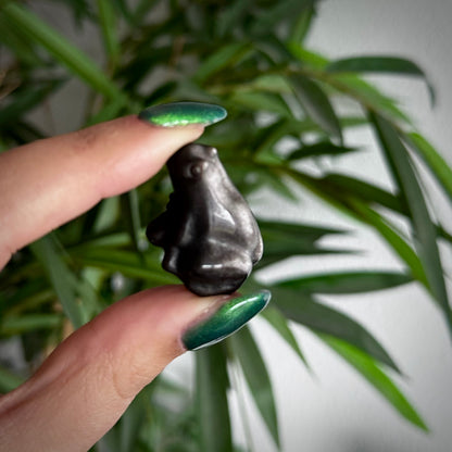 Zilver obsidiaan kikker