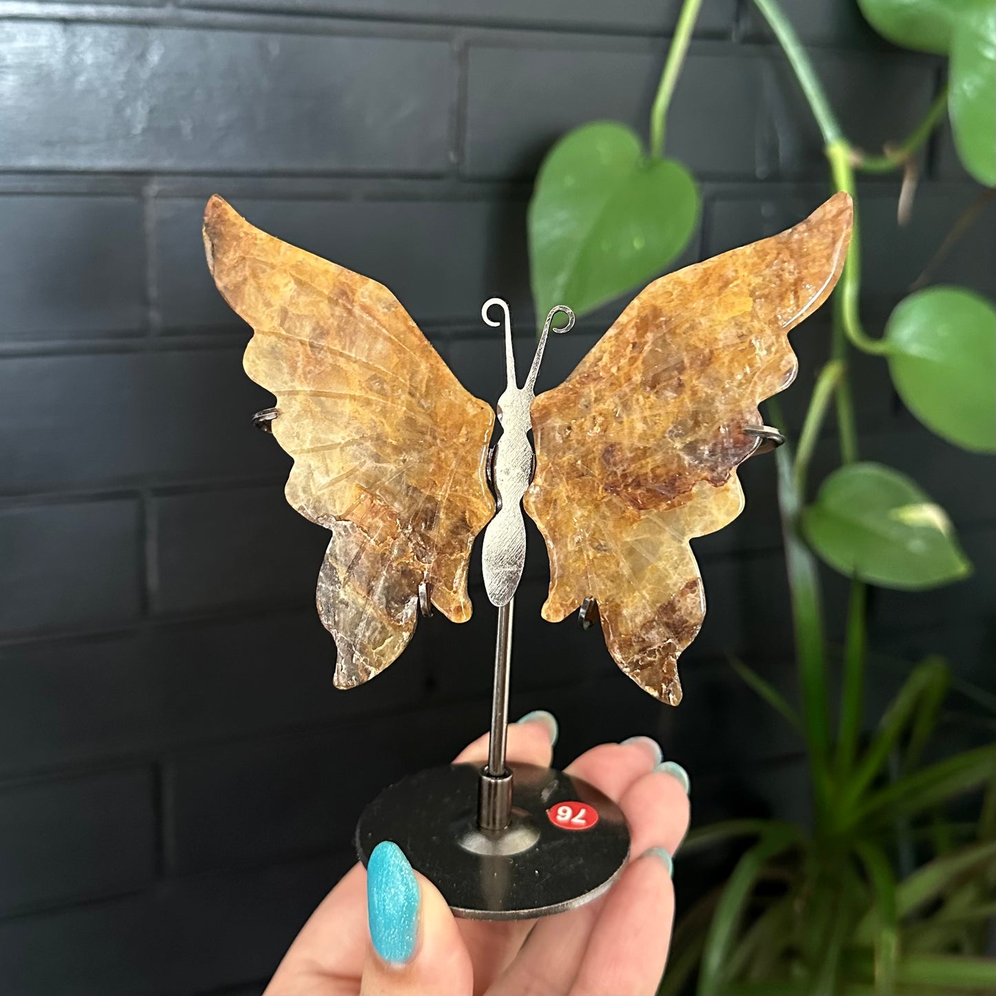 Golden healer vlinders op standaard