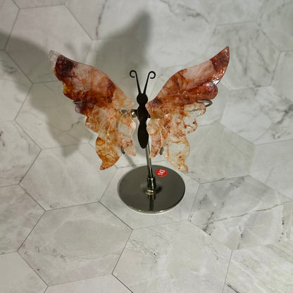 Red healer vlinders op standaard