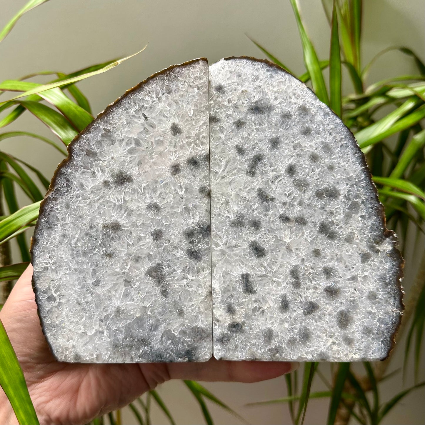 Agaat boekensteun #107