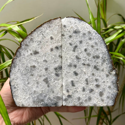 Agaat boekensteun #107