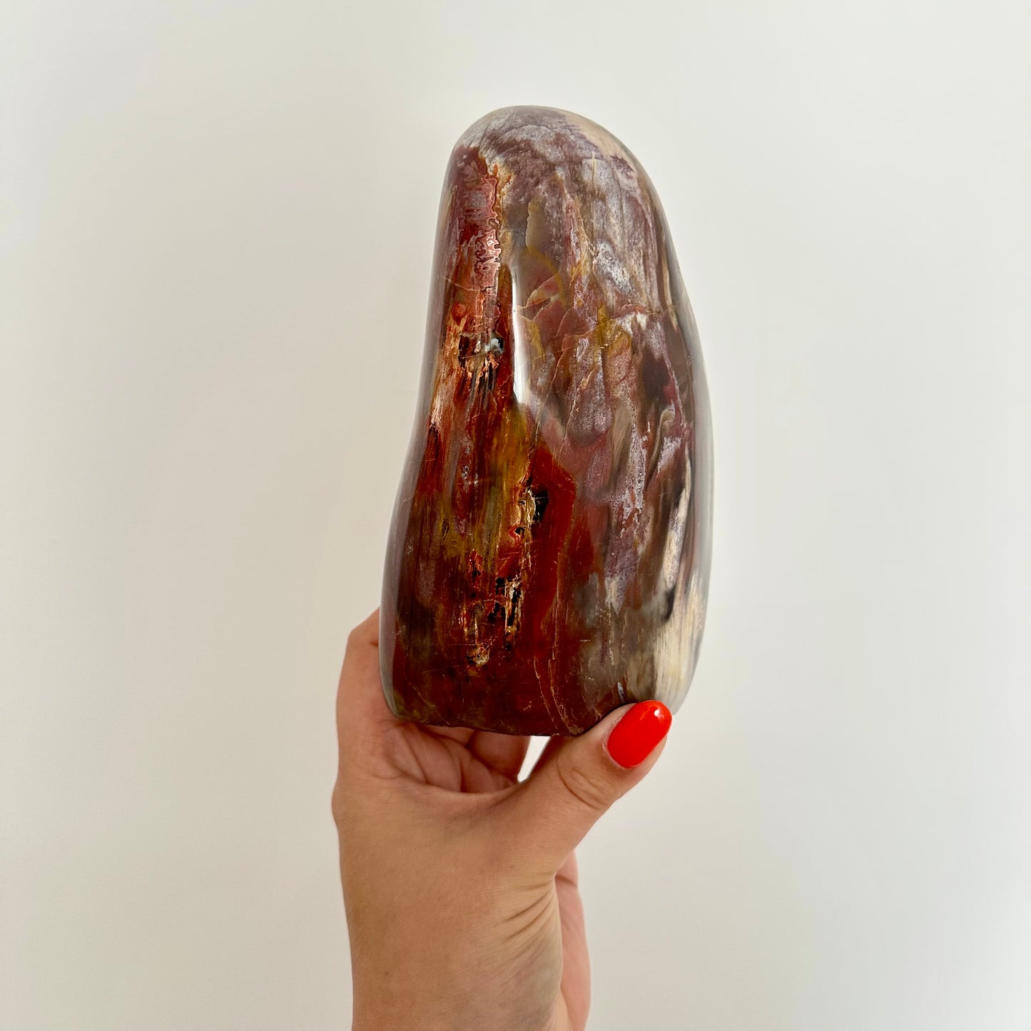 Versteend hout sculptuur 1376