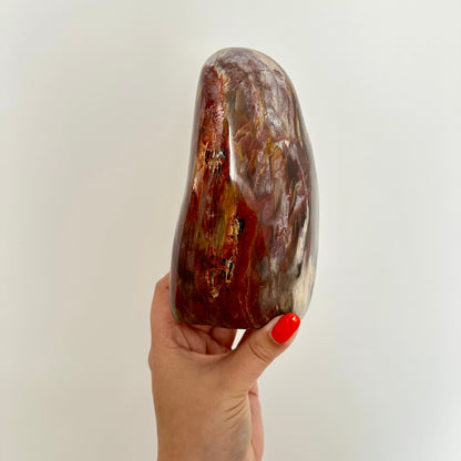 Versteend hout sculptuur 1376