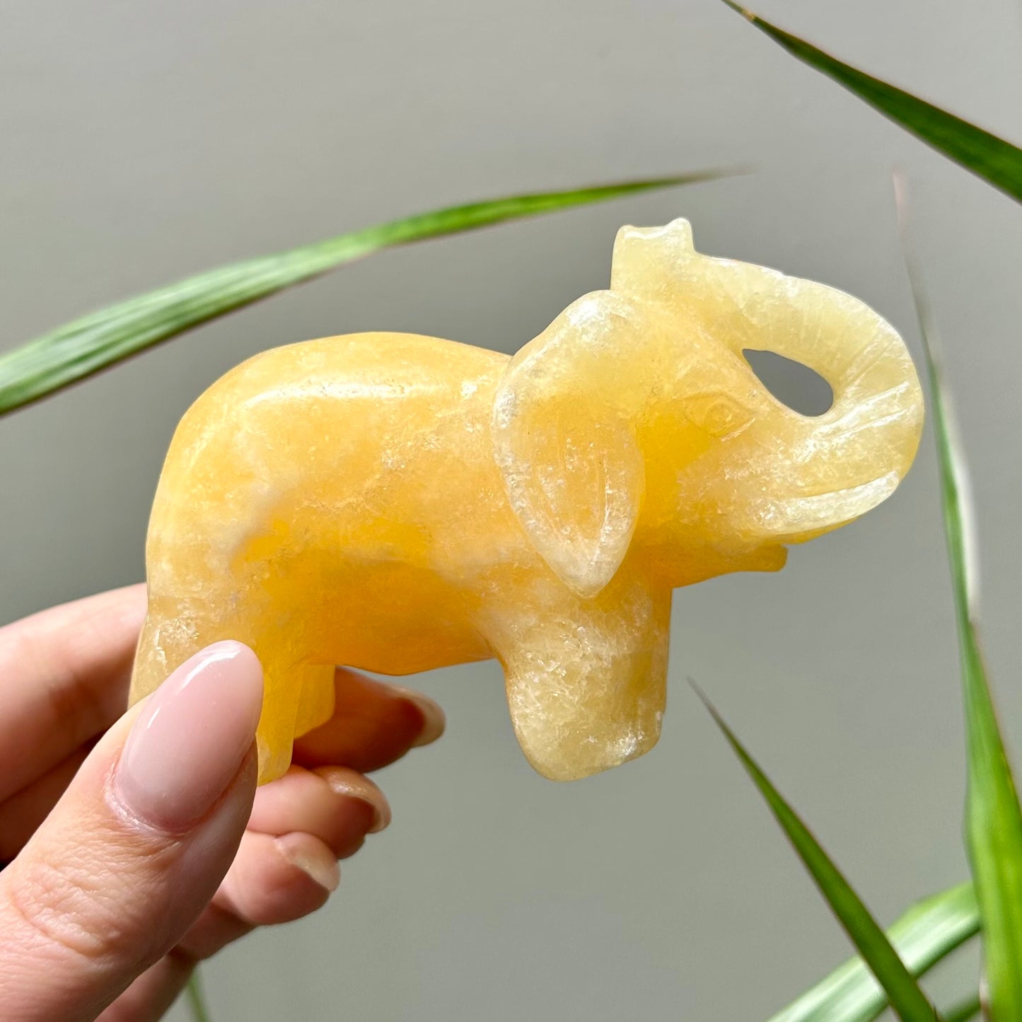 Oranje calciet olifant