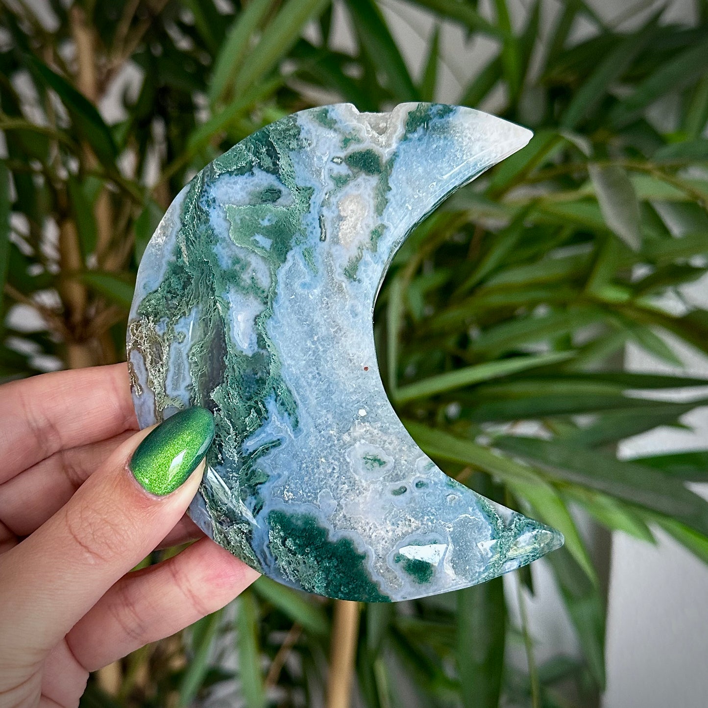 Mosagaat manen op standaard