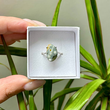 Oceaan jaspis ring 925 zilver