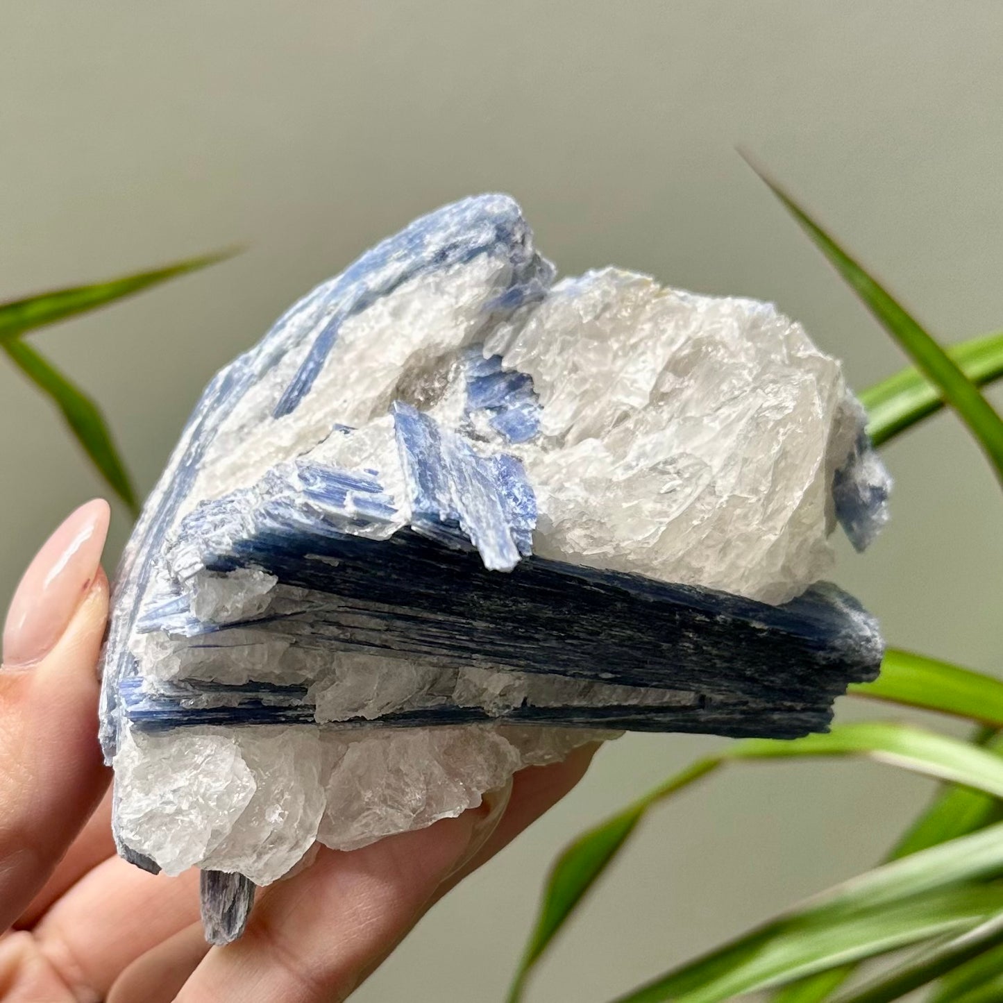 Ruw stuk kyaniet met kwarts