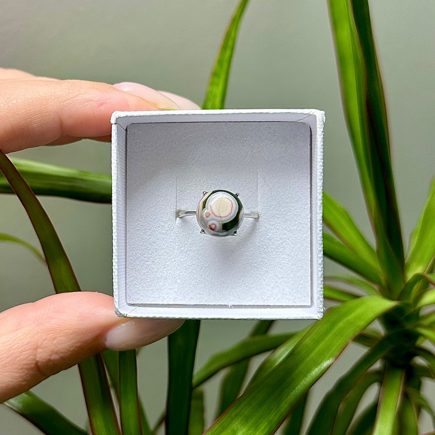 Oceaan jaspis ring 925 zilver