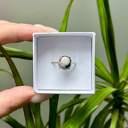 Oceaan jaspis ring 925 zilver