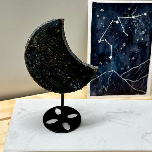 Astrofylliet manen op standaard