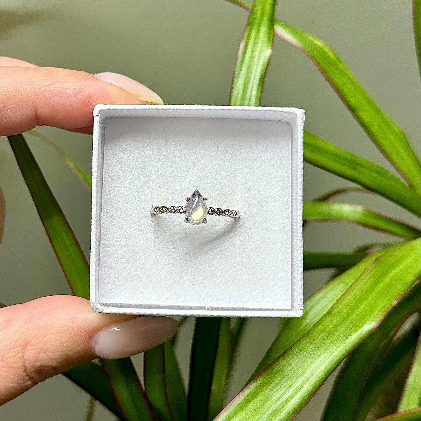 Labradoriet ringen 925 zilver