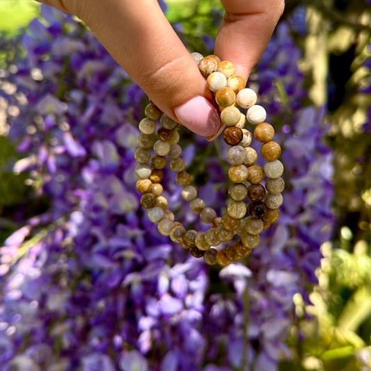 Fossiel koraal armband