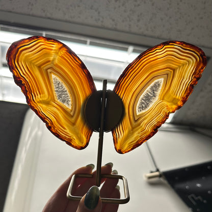 Set vlinders oranje/bruin