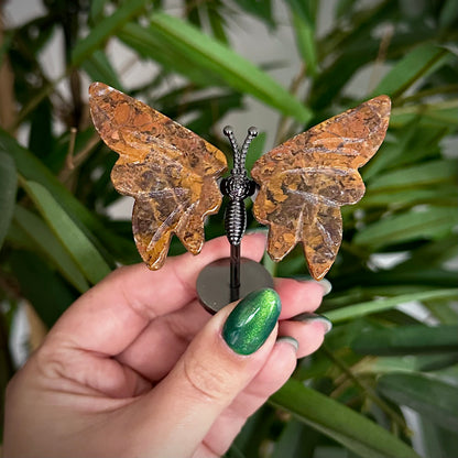 Kleine vlinder op standaard