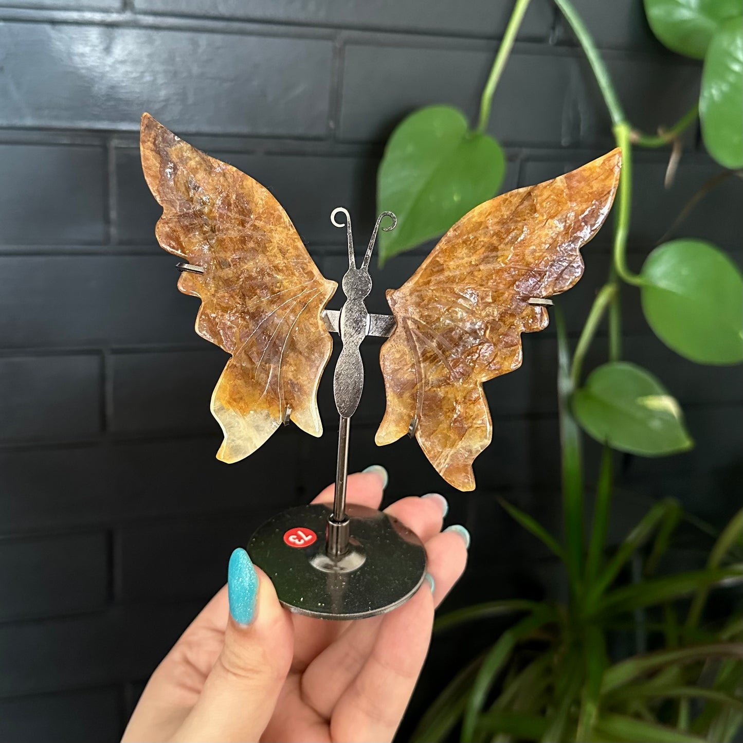 Golden healer vlinders op standaard