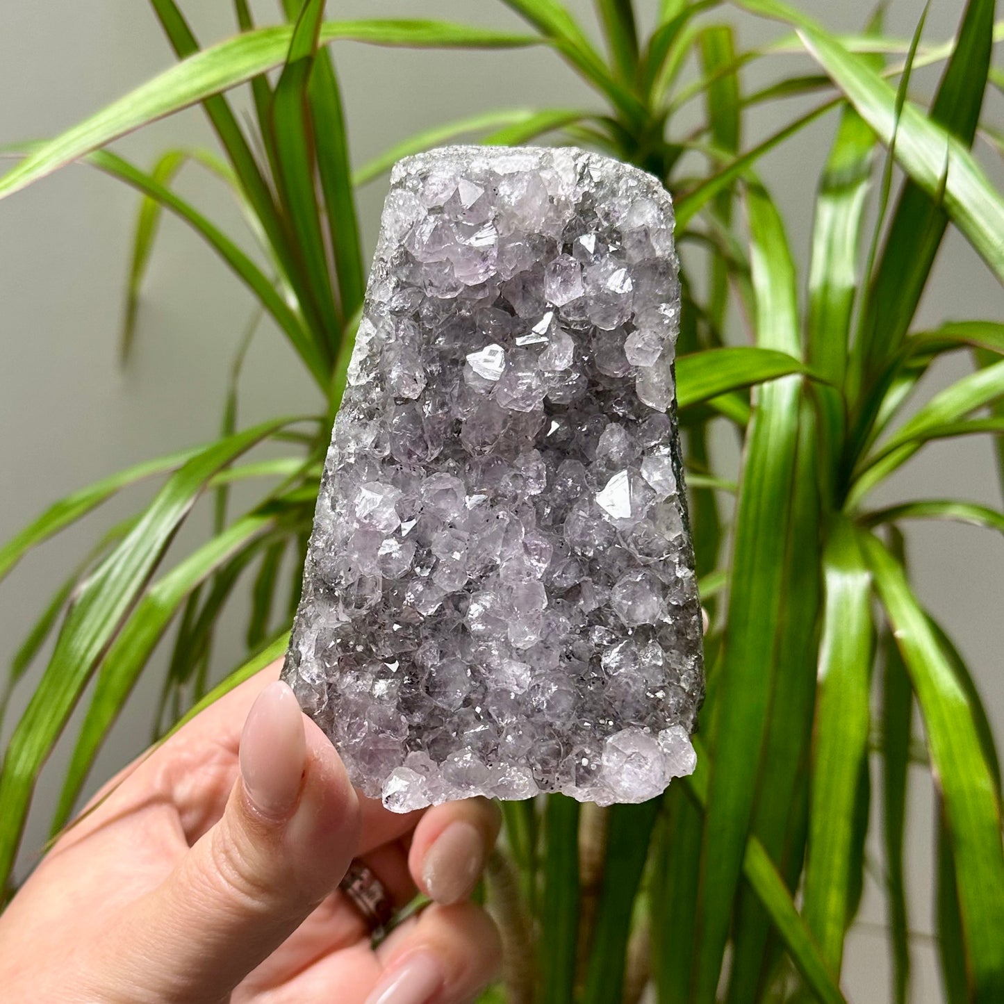 Diverse amethist clusters