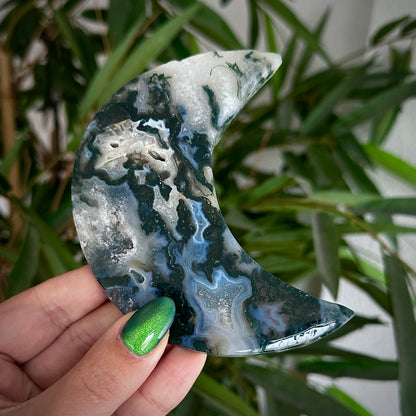 Mosagaat manen op standaard