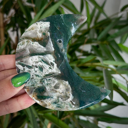 Mosagaat manen op standaard