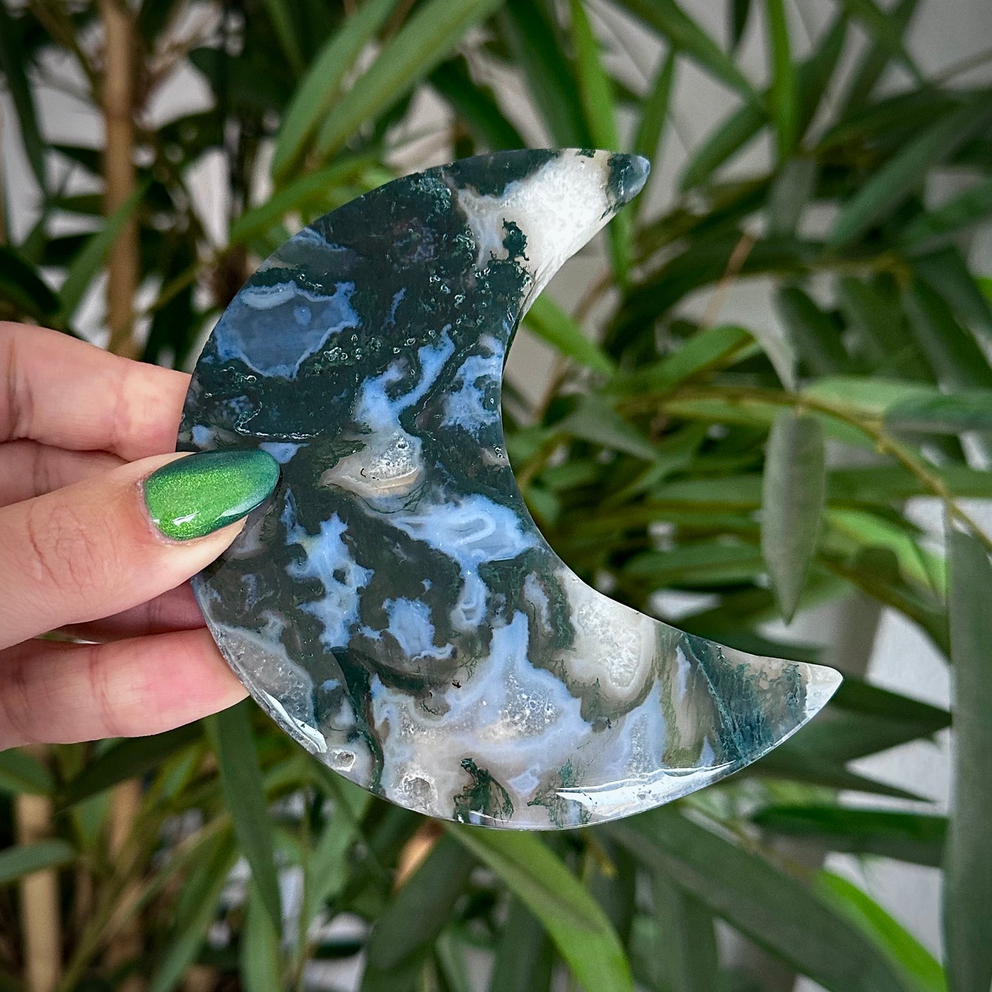 Mosagaat manen op standaard