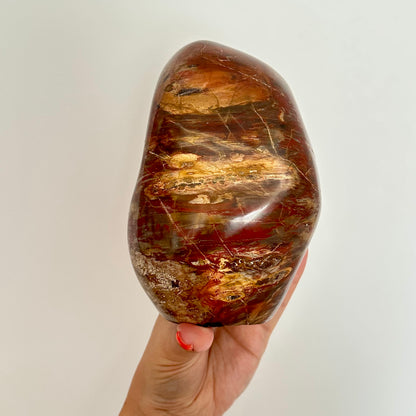 Versteend hout sculptuur 1472