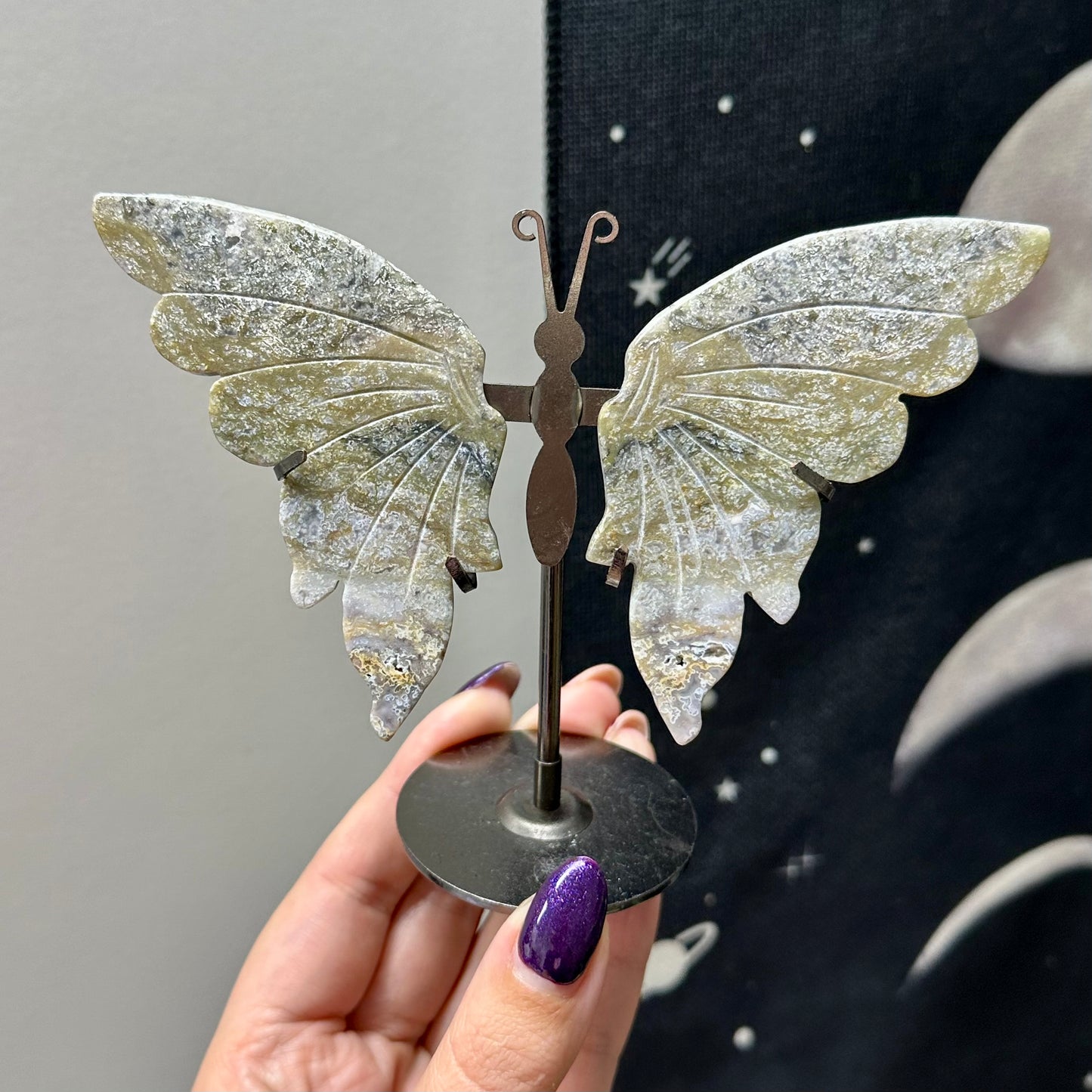 Mosagaat vlinders op standaard