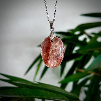 Red healer kettinghangers - zilver