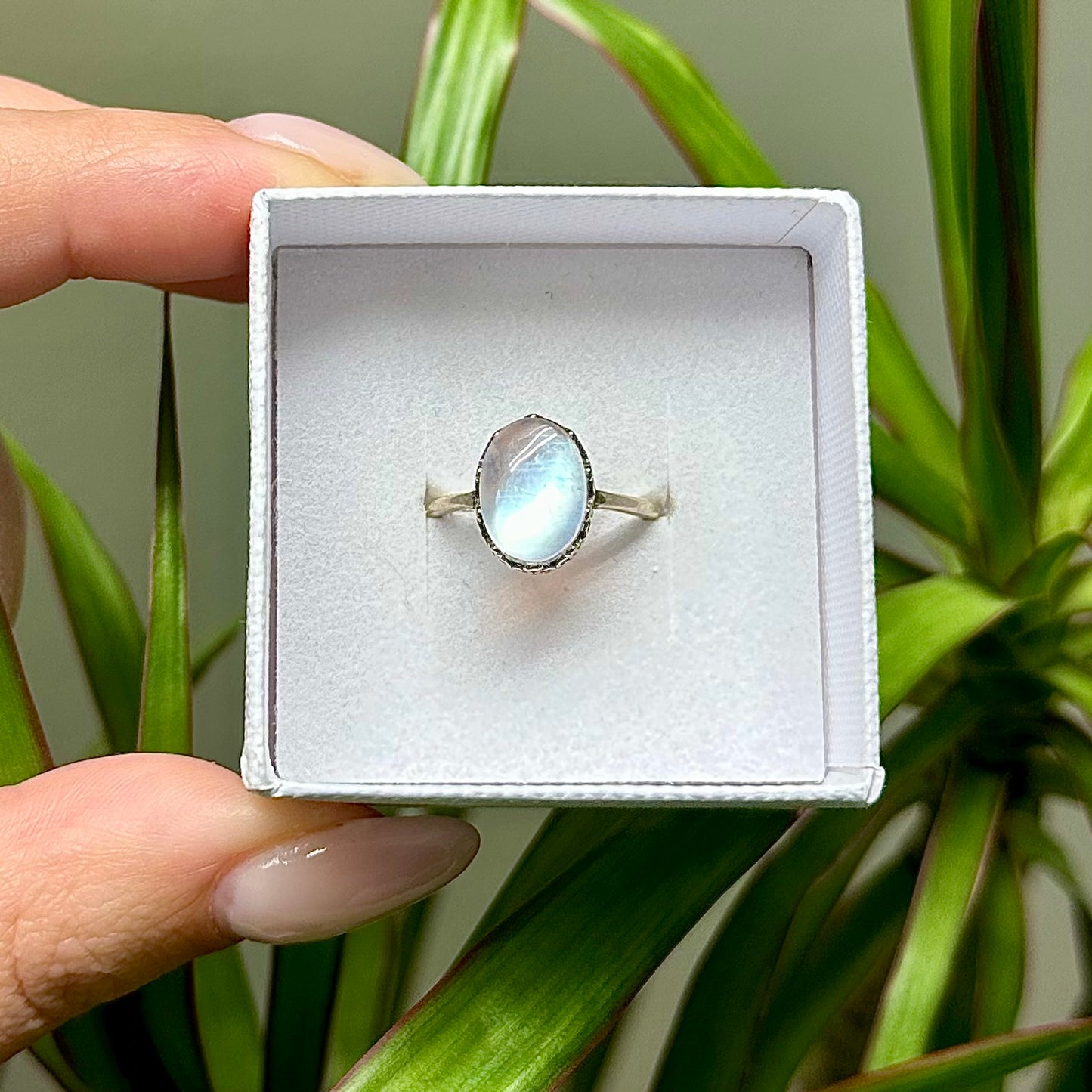 Maansteen ring 925 zilver