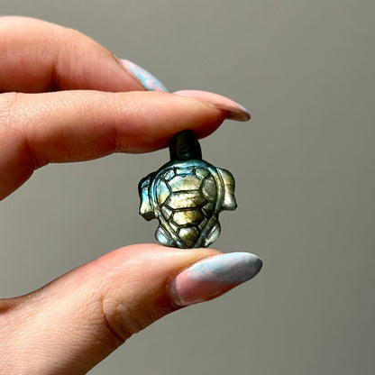 Labradoriet schildpadje