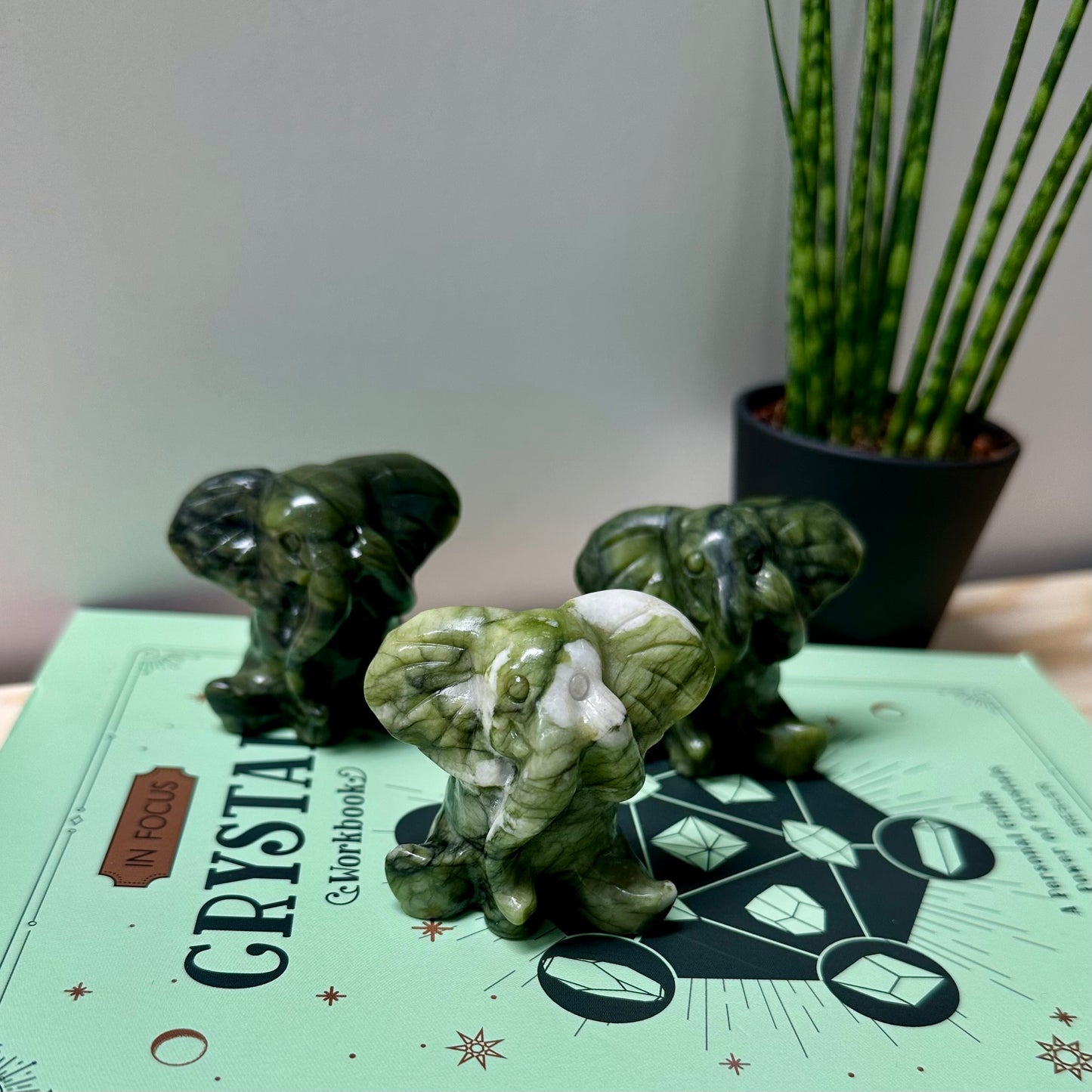 Schattigste olifant