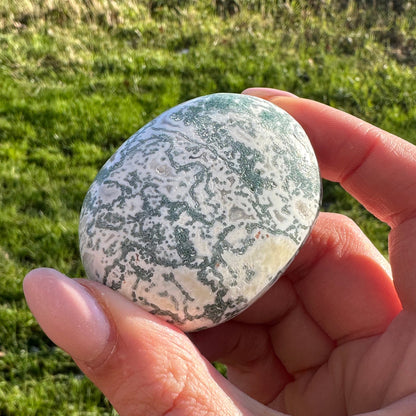 Boomagaat handsteen #331