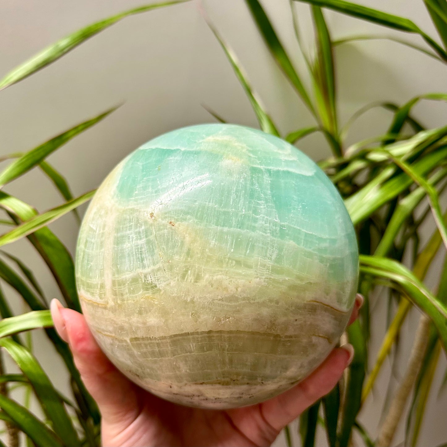 Pistache calciet bol XL