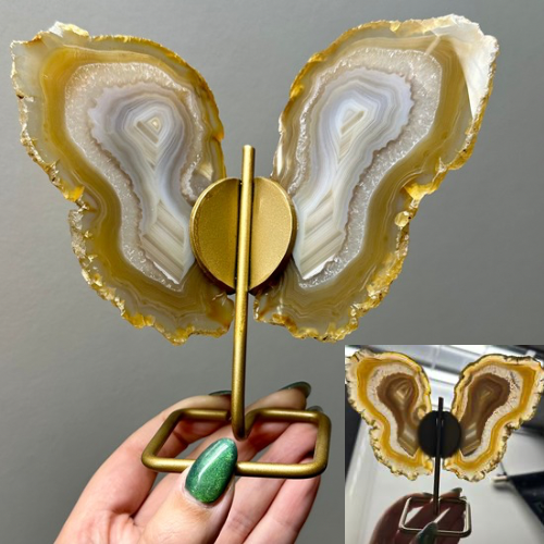 Agaat vlinder op goud standaard