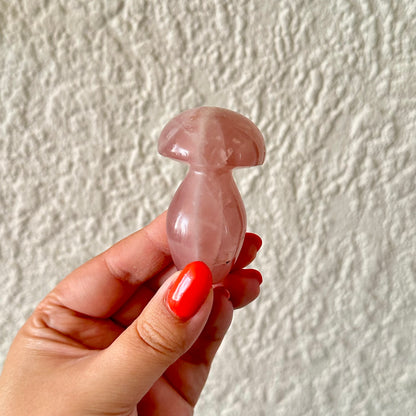 Rozenkwarts paddestoel 1348