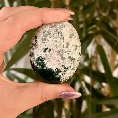 Boomagaat handsteen #324