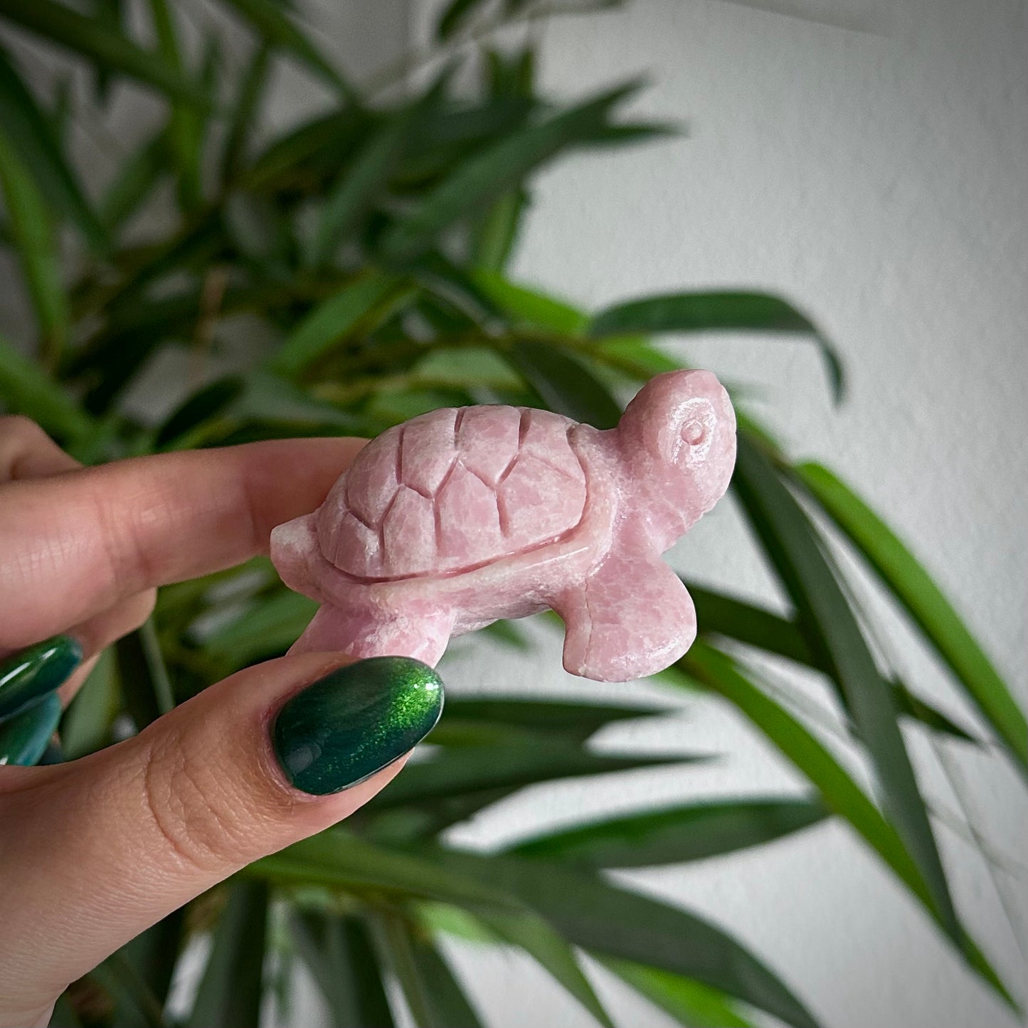 Roze Andes opaal schildpad