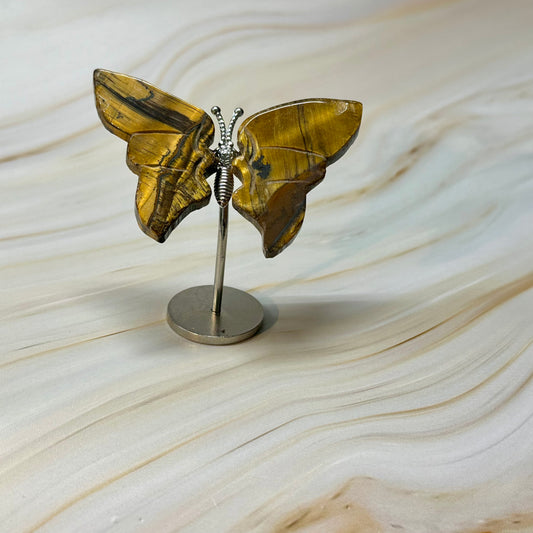 Kleine vlinder kneusje #52