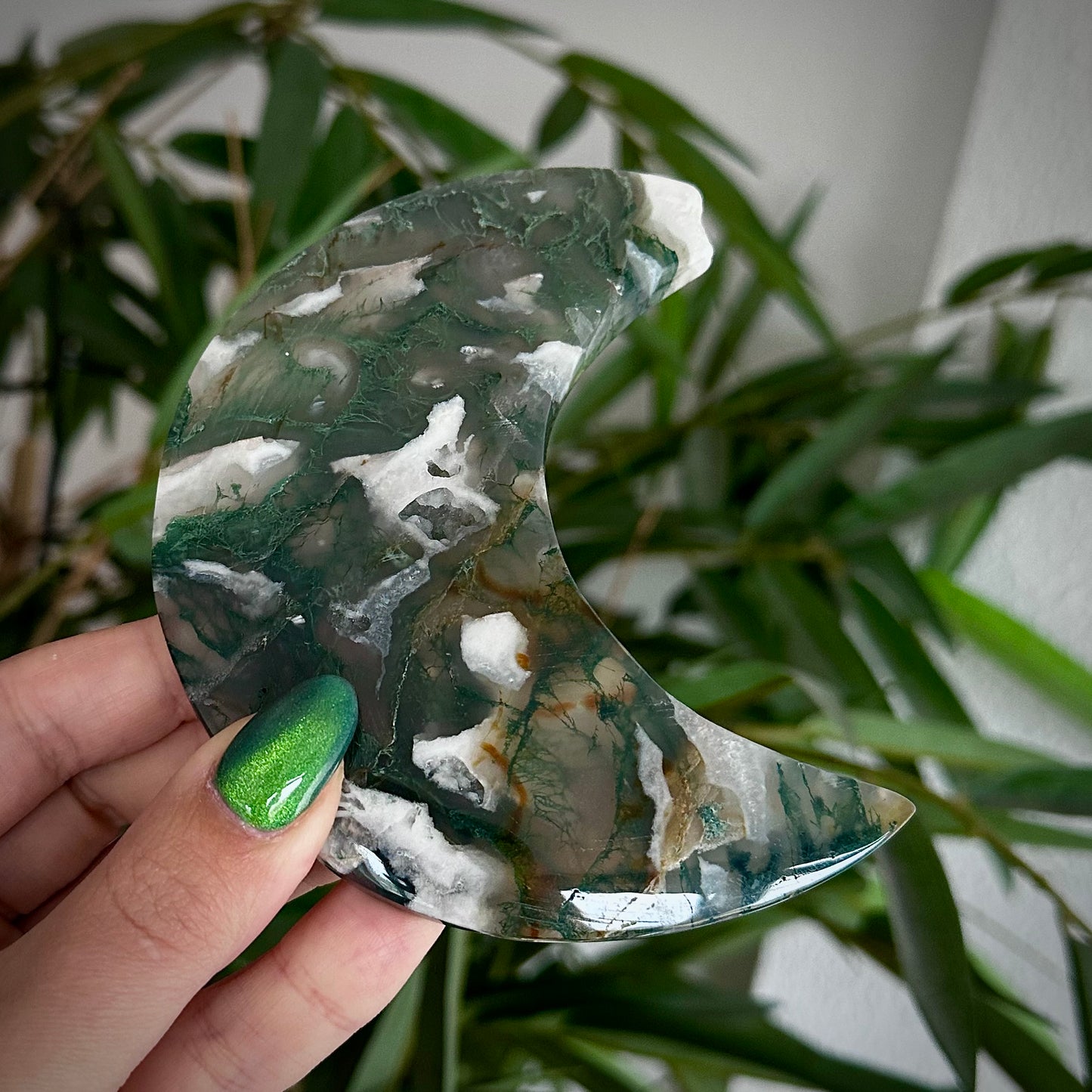 Mosagaat manen op standaard