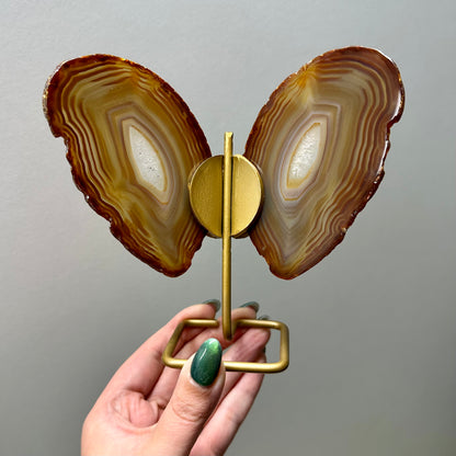 Set vlinders oranje/bruin